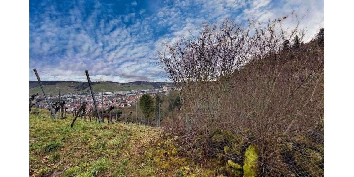 Grundstück Stuttgart Luginsland - 9.000&euro; | Angebot:24906395