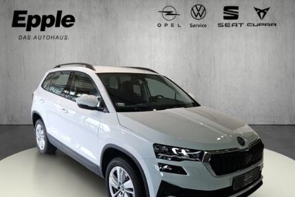 Skoda Karoq 10.046 km 28.890 &euro; Rutesheim 71277