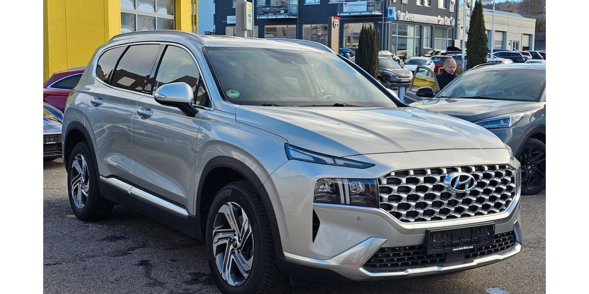 Hyundai SANTA FE 46.500 km 34.500 € Leonberg 71229