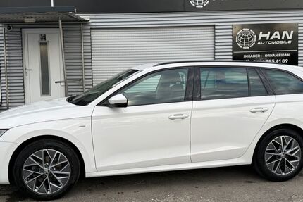 Skoda Octavia 102.400 km 18.850 &euro; Sindelfingen 71065