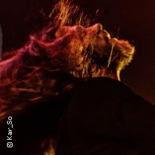 Diary Of Dreams - Live 2025 18.11.2025 Im Wizemann Stuttgart