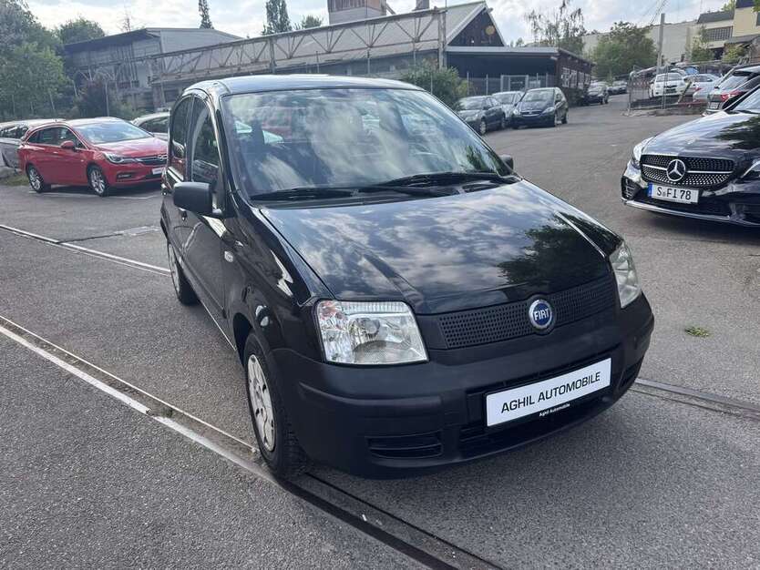 Panda