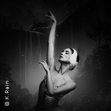 Grand Classic Ballet - Schwanensee - Jenseits der Bühne mit live Streichquartett 28.10.2026 Bürgerzentrum Waiblingen