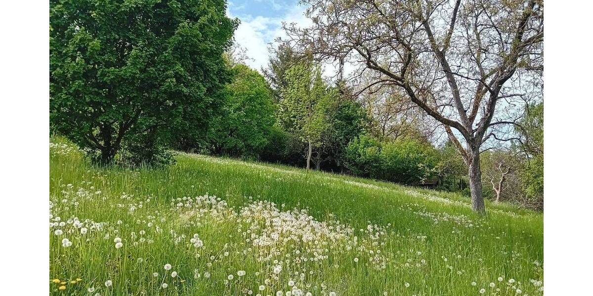 Grundstück Schorndorf - 16.000&euro; | Angebot:24031628