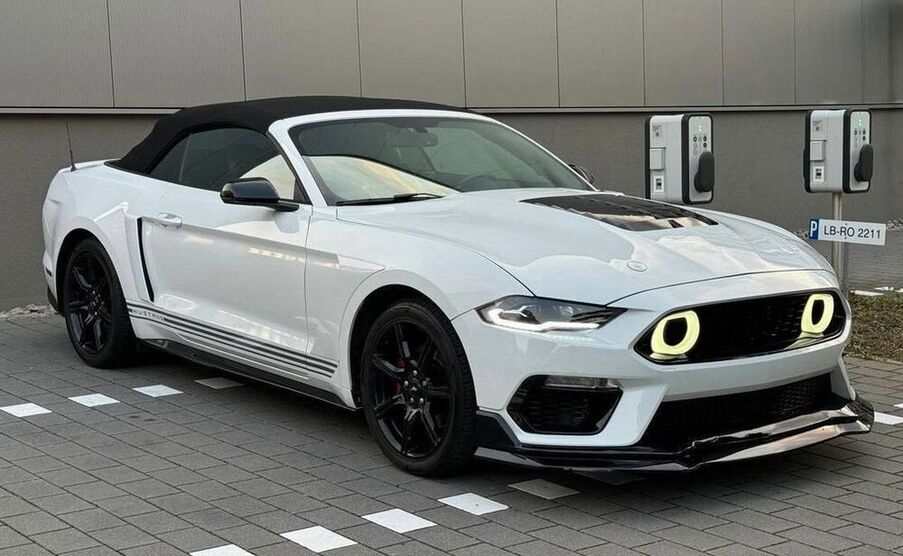 Mustang