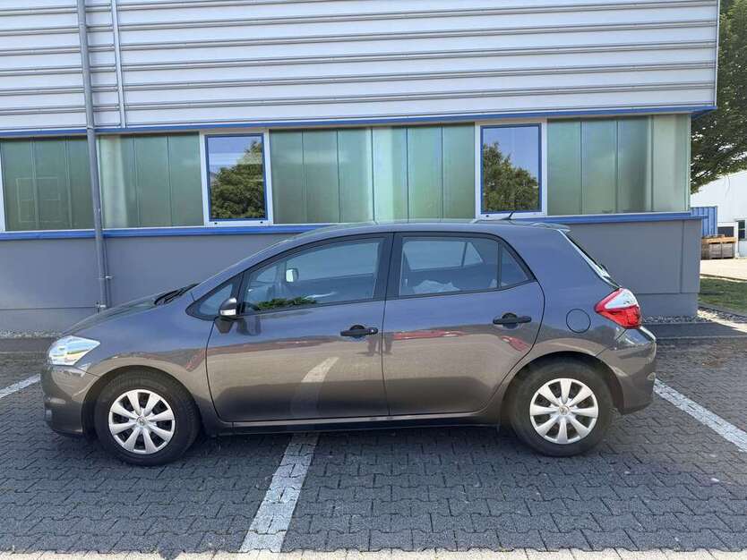 Auris