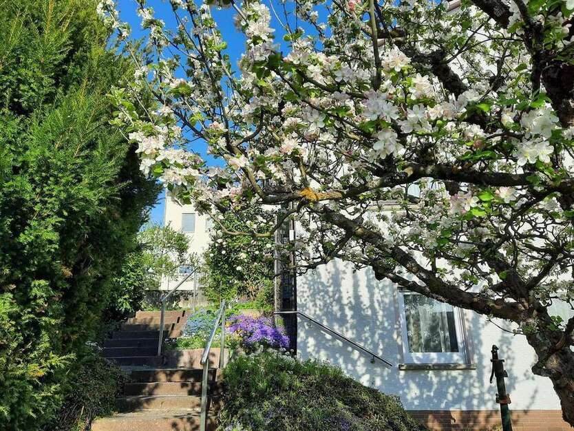 Haus zum Kaufen in Reutlingen 499.000 € 145 m²