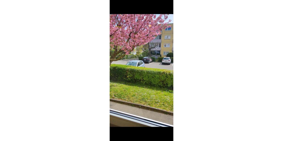 Erdgeschoßwohnung Stuttgart Bad Cannstatt - 4 Zimmer, 95 m&sup2;, 380.000&euro; | Angebot:26228144
