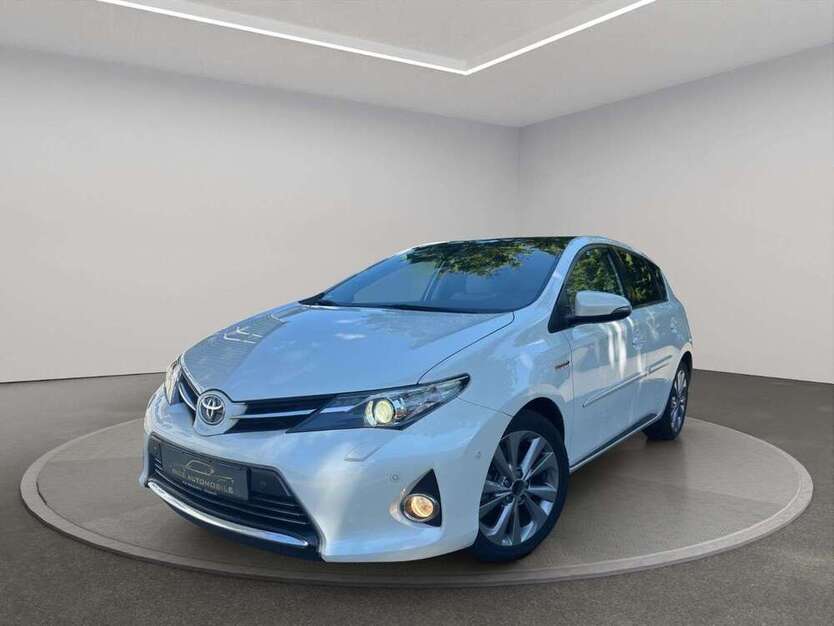 Auris