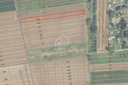 Grundstück Marbach - 10.556&euro; | Angebot:26081958