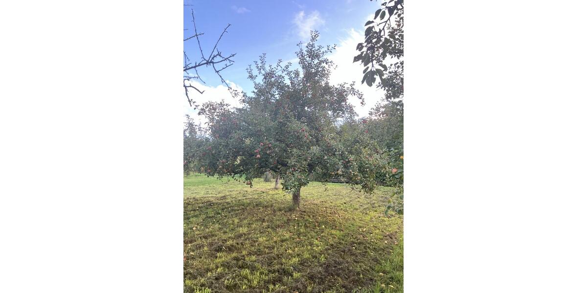 Grundstück Esslingen am Neckar Brühl - 12.000&euro; | Angebot:24226766