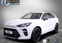 Gebrauchtwagen Cupra Terramar