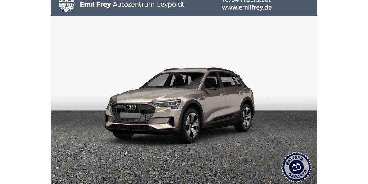 Audi e-tron 93.399 km 30.890 &euro; Filderstadt 70794