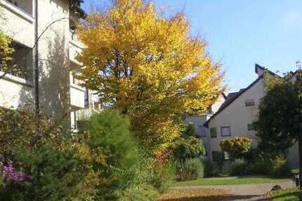 Wohnung Pliezhausen - 4 Zimmer, 95 m&sup2;, 1.000&euro; | Angebot:25355056