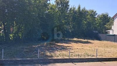 SCHÖN IM GRÜNEN zimmer