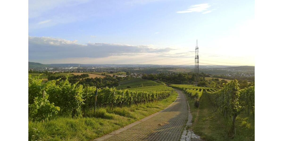 Etagenwohnung Waiblingen Bittenfeld - 4 Zimmer, 73 m&sup2;, 991&euro; | Angebot:25282551