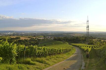 Wohnung Waiblingen Bittenfeld - 4 Zimmer, 73 m&sup2;, 991&euro; | Angebot:25282551