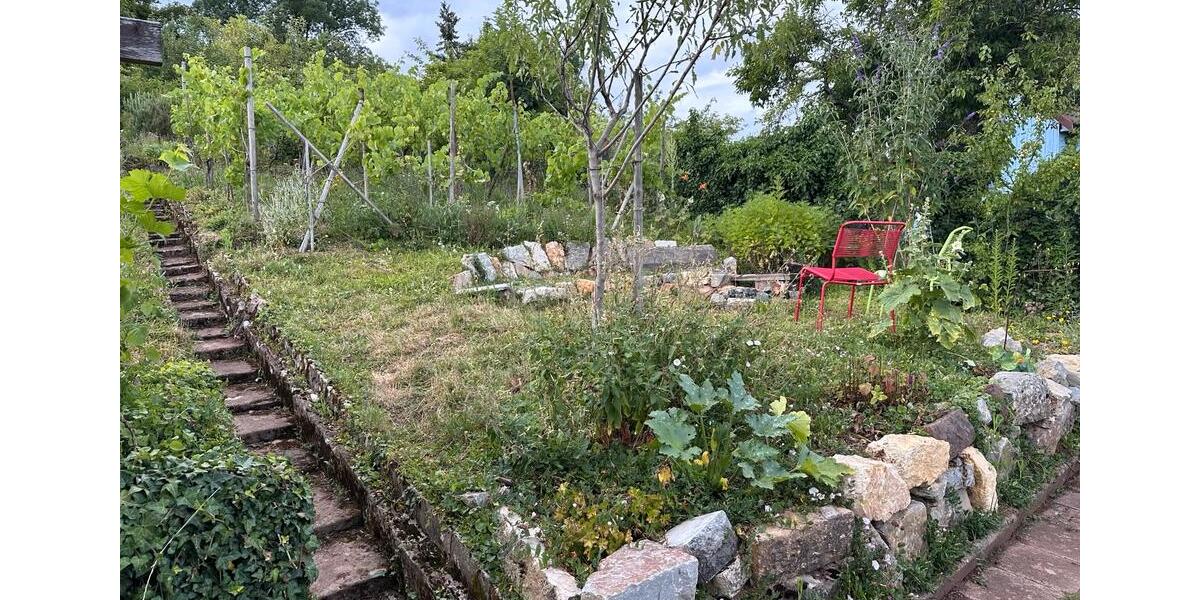 Grundstück Stuttgart Botnang - 500&euro; | Angebot:25872034