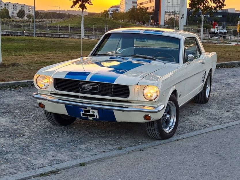 Mustang