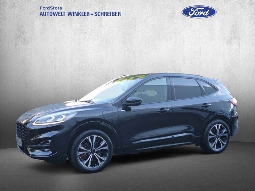 Kuga