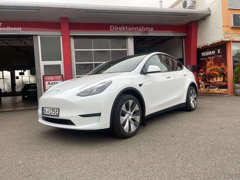 Model Y