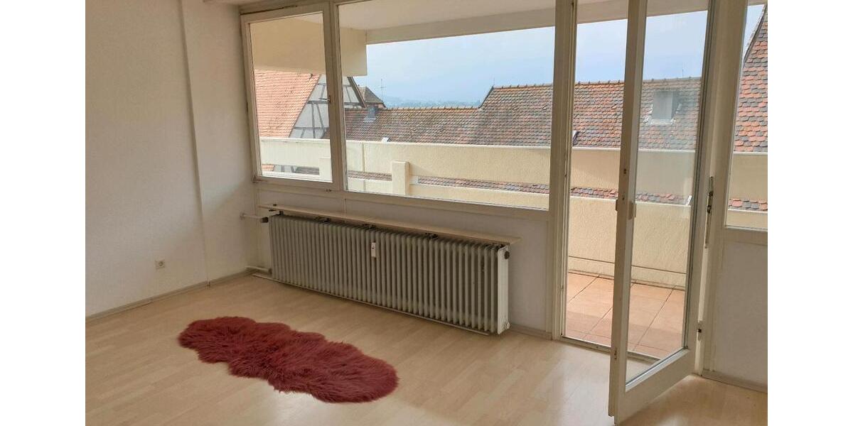 Einfamilienhaus Sindelfingen - 1 Zimmer, 45 m&sup2;, 650&euro; | Angebot:24295261