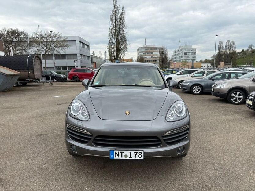Cayenne