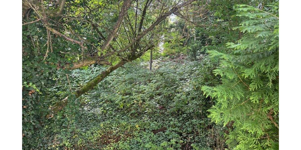 Grundstück Weil der Stadt - 1.710.000&euro; | Angebot:25245219