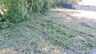 SCHÖN IM GRÜNEN zimmer