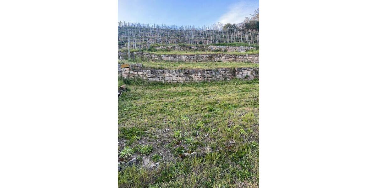 Grundstück Stuttgart Bad Cannstatt - 25&euro; | Angebot:26101804