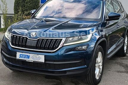 Skoda Kodiaq 203.110 km 17.800 &euro; Stuttgart 70499