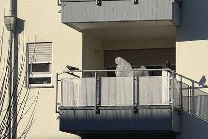 Wohnung zum Kaufen in Markgröningen 214.000 € 55 m² 2.5 zimmer