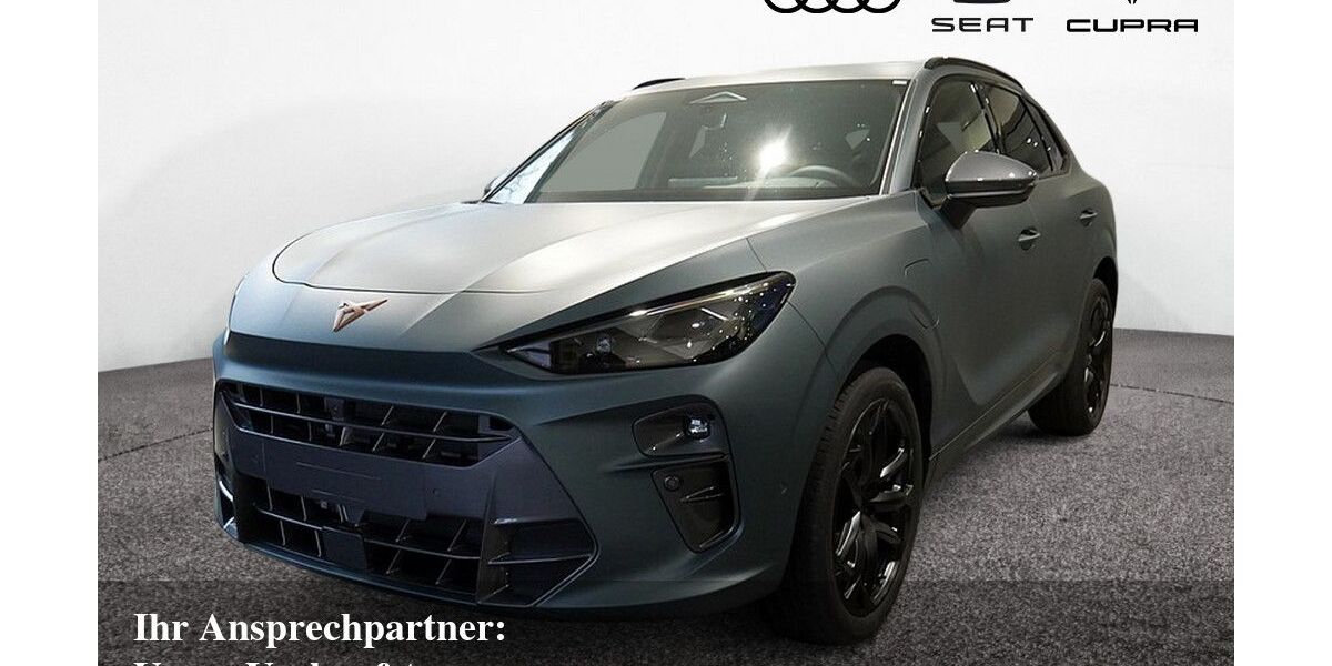 Cupra Terramar 3.500 km 51.190 &euro; Bietigheim-Bissingen 74321