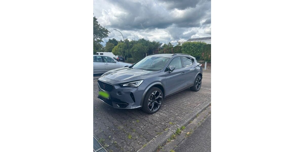 Cupra Formentor 52.000 km 25.100 &euro; Weinstadt 71384