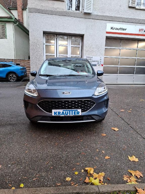 Kuga