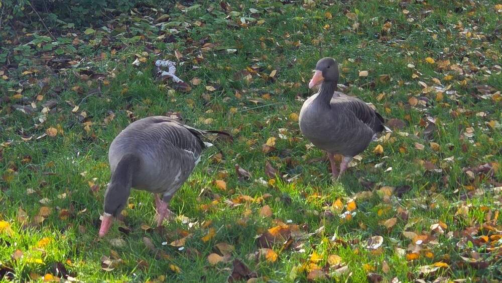 321 - Endlich ins eigene Zuhause 3 zimmer