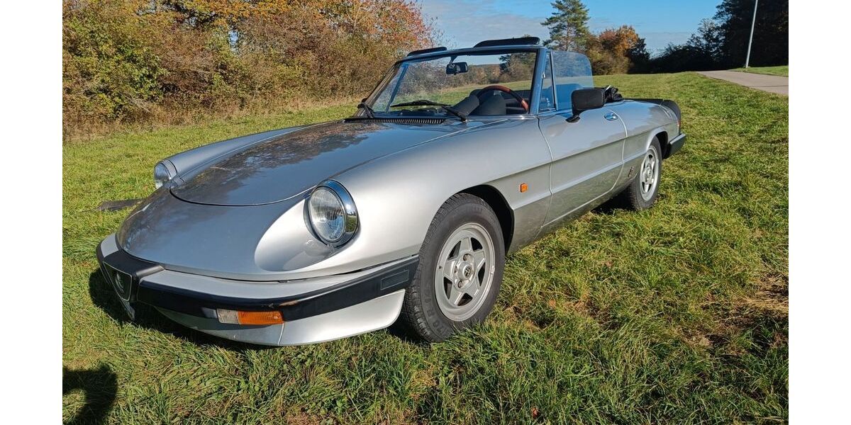 Alfa Romeo Spider 124.000 km 16.500 € Grafenau 71120