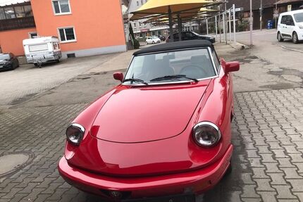 Alfa Romeo Alfa Spider