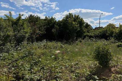 Grundstück zu verkaufen in Kernen-Rommelshausen 699.000 € 644 m² zimmer