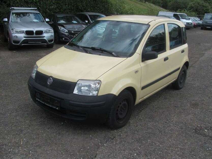 Panda