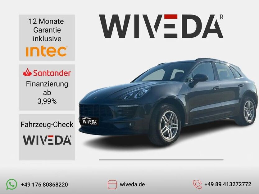 Macan