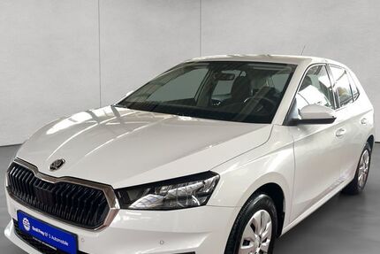 Skoda Fabia 59.739 km 16.890 € Esslingen 73730