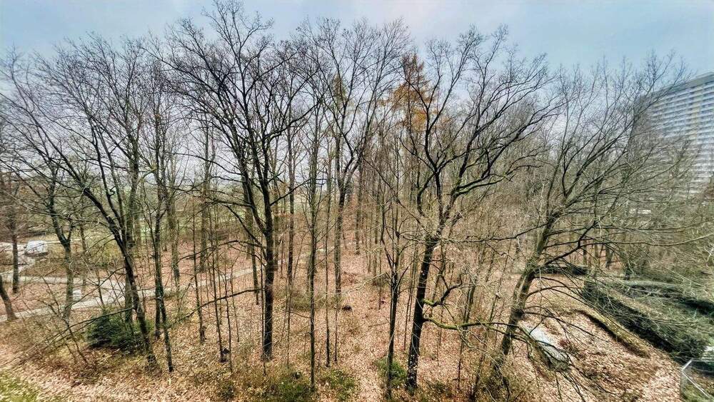 Etagenwohnung Stuttgart Asemwald - 3 Zimmer, 80 m&sup2;, 177.000&euro; | Angebot:24874637