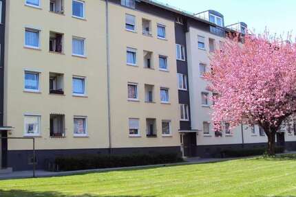 Wohnung Stuttgart Bad Cannstatt - 3 Zimmer, 64 m&sup2;, 630&euro; | Angebot:26989740