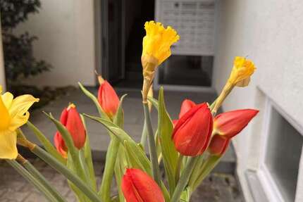 Wohnung Stuttgart Degerloch - 3.5 Zimmer, 80 m&sup2;, 1.690&euro; | Angebot:25159050