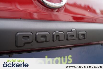 Fiat Panda 43.000 km 11.990 &euro; Korb 71404