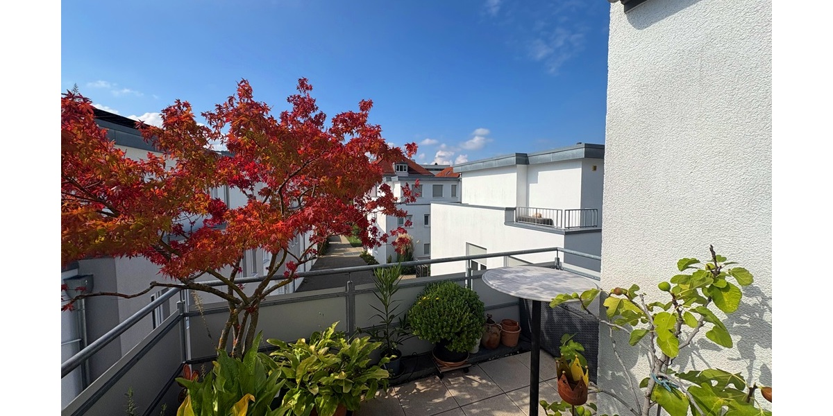 „Bequem leben in jedem Alter – attraktive 4,5 Zimmer Wohnung in ruhiger Lage von Mettingen 4.5 zimmer