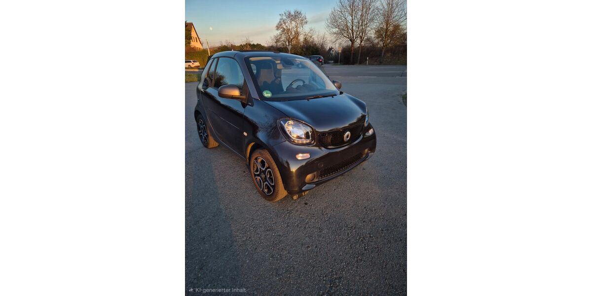 Smart ForTwo 53.000 km 10.000 &euro; Waiblingen 71332