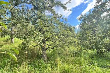 Grundstück Stuttgart Hedelfingen - 11.900&euro; | Angebot:26271343