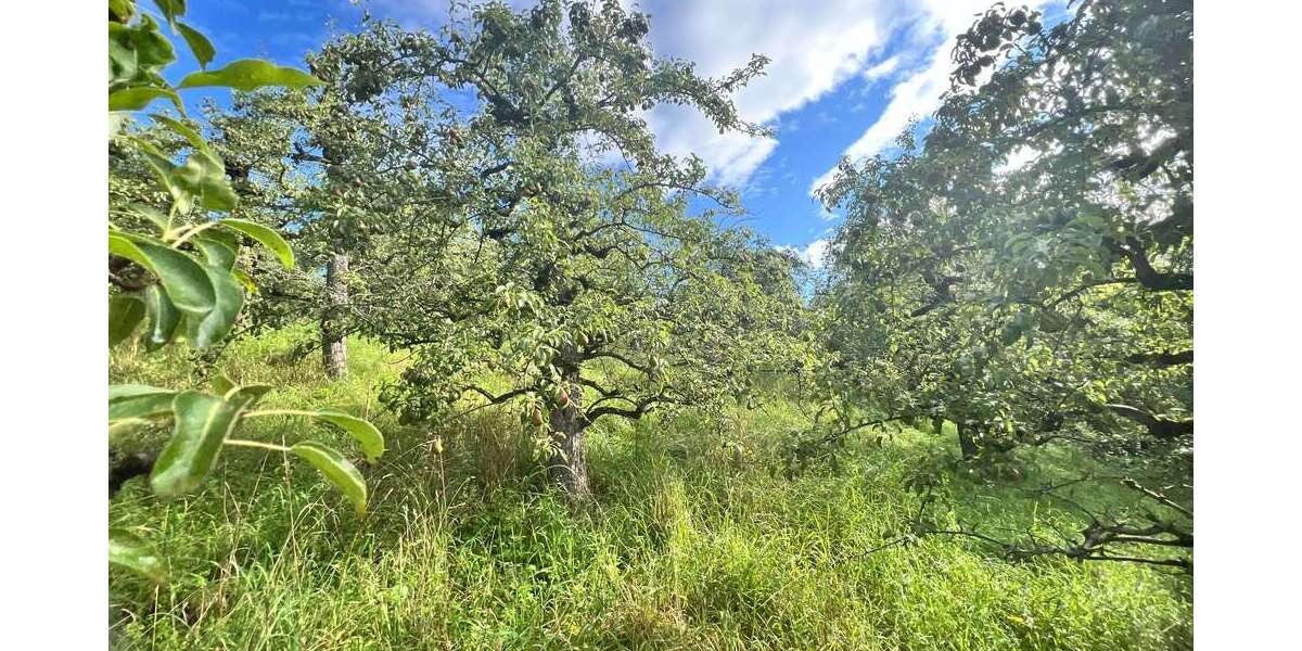 Grundstück Stuttgart Hedelfingen - 11.900&euro; | Angebot:26271343